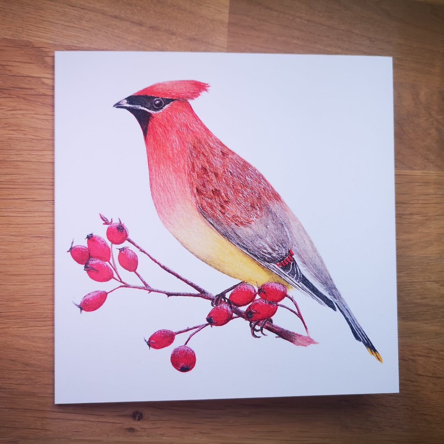 Waxwing Greeting Card
