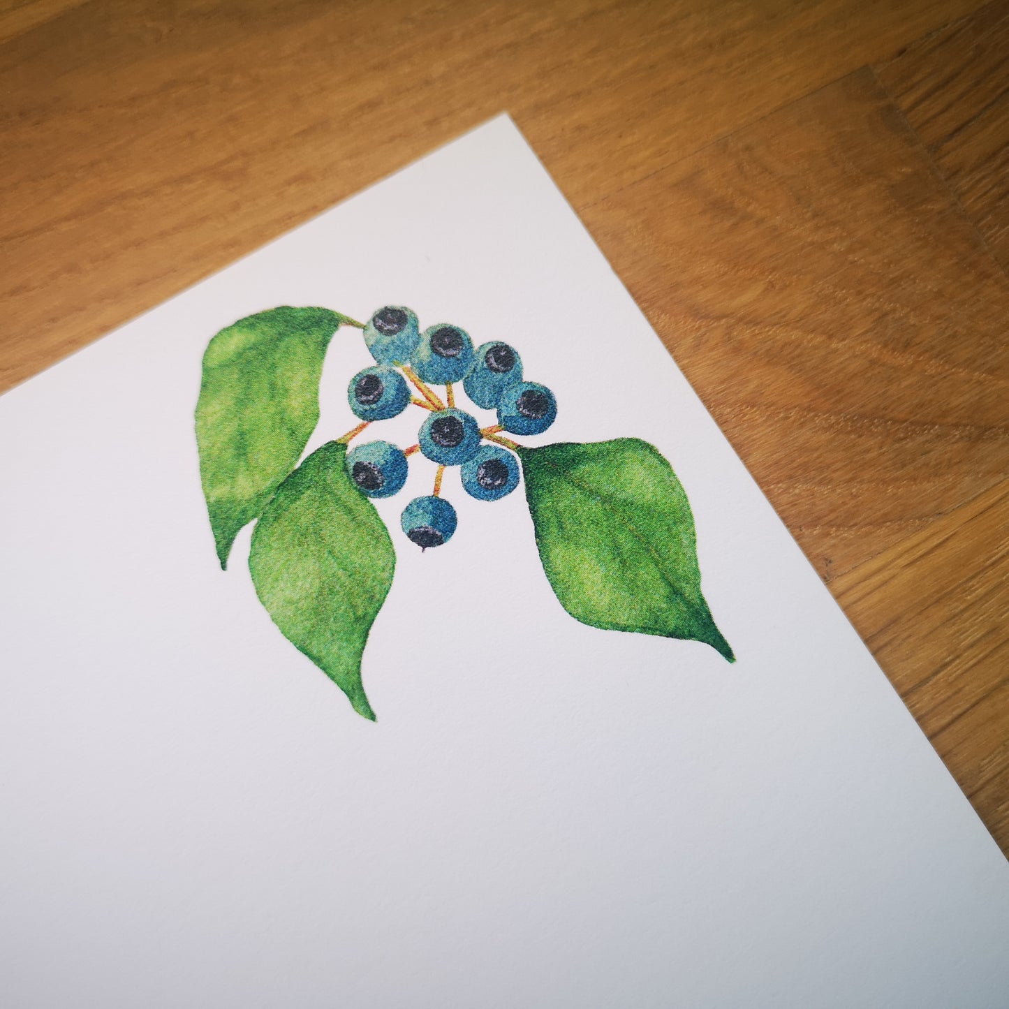 Waxwing Greeting Card