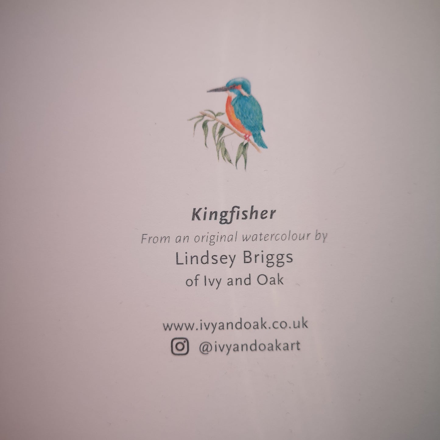 Kingfisher greeting card