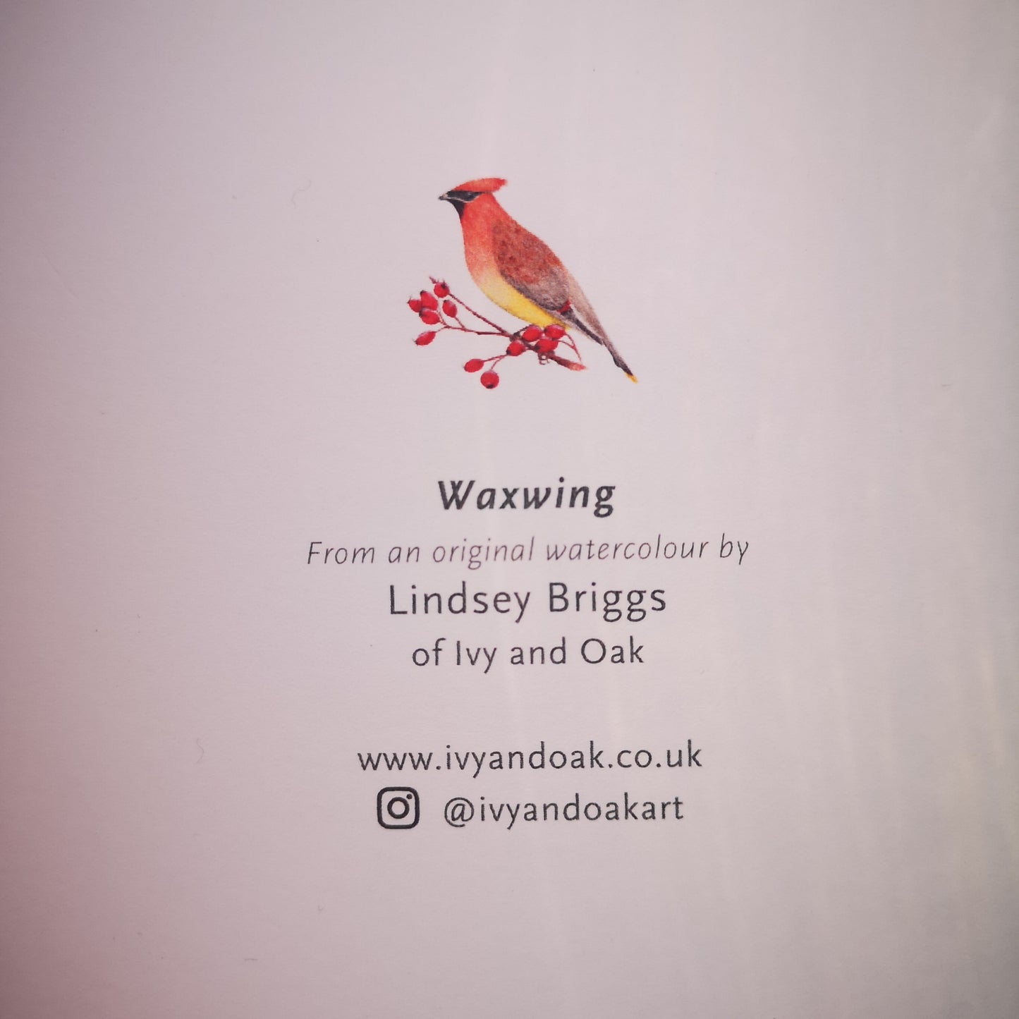 Waxwing Greeting Card