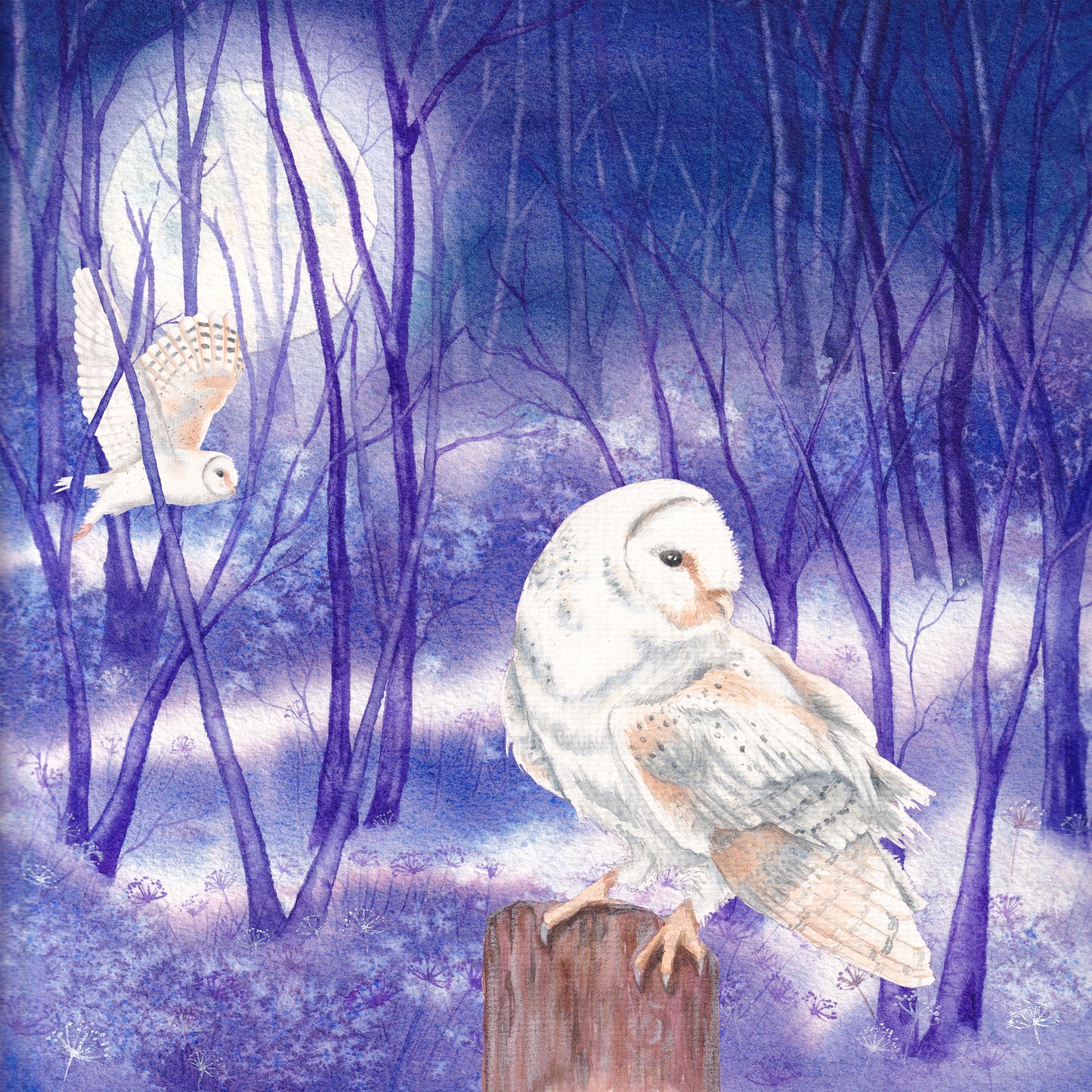Midnight Owl greeting card