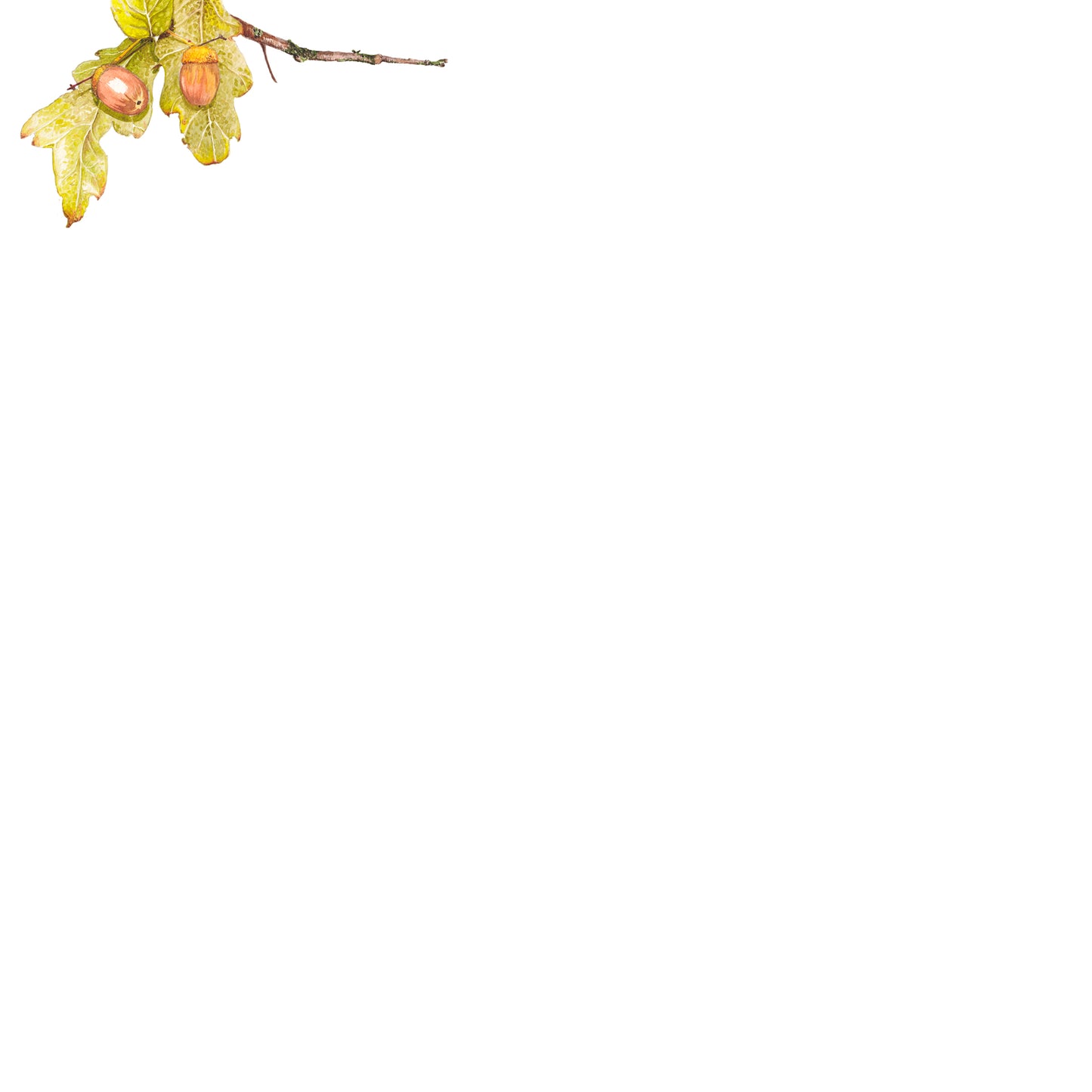 Oak King greeting card