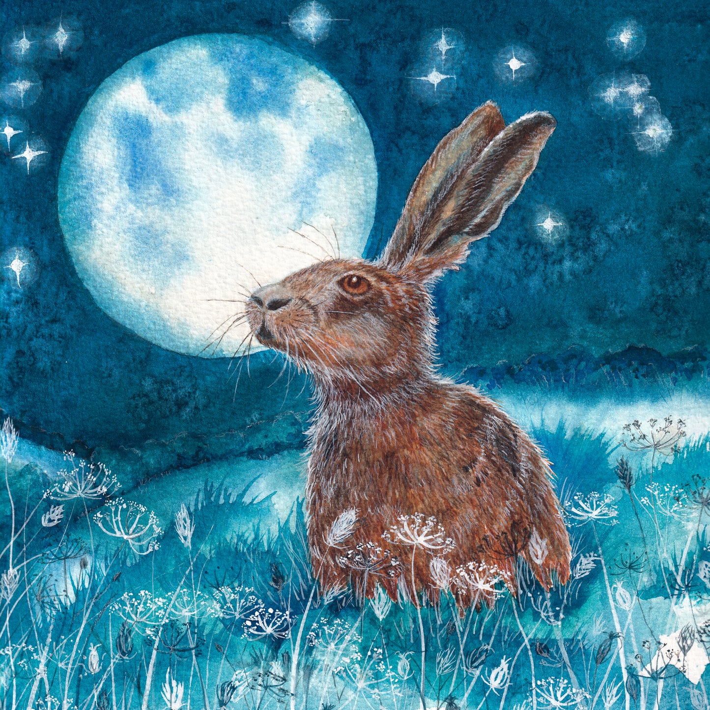 Star Gazer greeting card