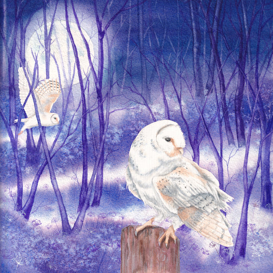Midnight Owl greeting card