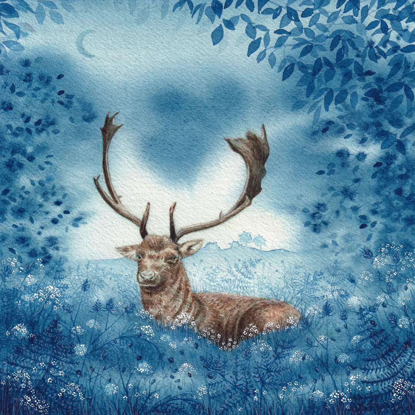 Monarch of the Glade Greeting Card