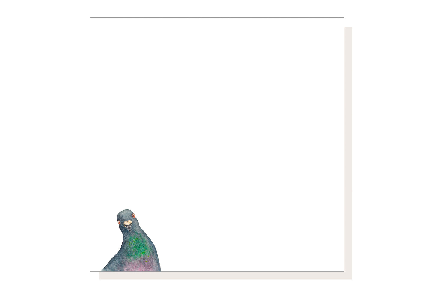 Pigeon Shaman Greeting Card